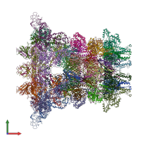 PDB entry 6j0n coloured by chain, front view.