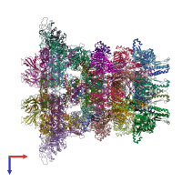 PDB entry 6j0n coloured by chain, top view.