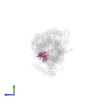 Proteasome subunit beta type-4 in PDB entry 6j2q, assembly 1, side view.