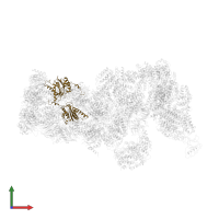 Proteasome subunit beta type-7 in PDB entry 6j2q, assembly 1, front view.