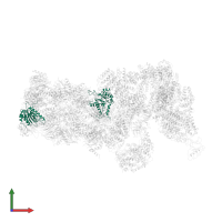 Proteasome subunit alpha type-2 in PDB entry 6j2q, assembly 1, front view.