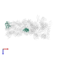 Proteasome subunit alpha type-2 in PDB entry 6j2q, assembly 1, top view.