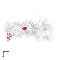 Proteasome subunit alpha type-5 in PDB entry 6j2x, assembly 1, top view.