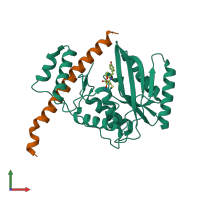 PDB entry 6j4p coloured by chain, front view.