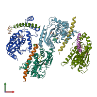 PDB entry 6j4q coloured by chain, front view.