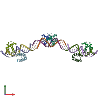 PDB entry 6j5b coloured by chain, front view.