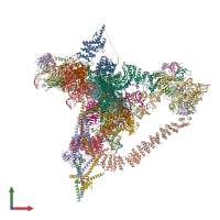PDB entry 6j6h coloured by chain, front view.
