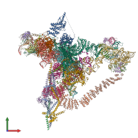 PDB entry 6j6h coloured by chain, front view.