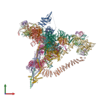 PDB entry 6j6q coloured by chain, front view.
