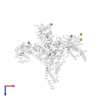 2-acetamido-2-deoxy-beta-D-glucopyranose in PDB entry 6j8h, assembly 1, top view.