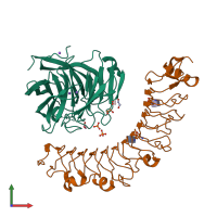 PDB entry 6jbu coloured by chain, front view.