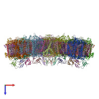 PDB entry 6jeo coloured by chain, top view.