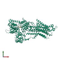 PDB entry 6jju coloured by chain, front view.