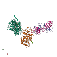 PDB entry 6jmq coloured by chain, front view.