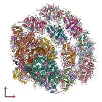 PDB entry 6jo6 coloured by chain, front view.