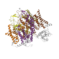 The deposited structure of PDB entry 6jp5 contains 4 copies of Pfam domain PF00520 (Ion transport protein) in Voltage-dependent L-type calcium channel subunit alpha-1S. Showing 4 copies in chain A.