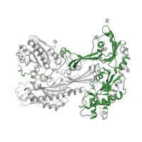 The deposited structure of PDB entry 6jp5 contains 1 copy of Pfam domain PF08473 (Neuronal voltage-dependent calcium channel alpha 2acd) in Voltage-dependent calcium channel subunit alpha-2/delta-1. Showing 1 copy in chain C [auth F].