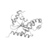 The deposited structure of PDB entry 6jp5 contains 2 copies of Pfam domain PF12052 (Voltage gated calcium channel subunit beta domain 4Aa N terminal) in Voltage-dependent L-type calcium channel subunit beta-1. Showing 1 copy in chain E [auth C] (this domain is out of the observed residue ranges!).