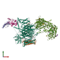 PDB entry 6jpb coloured by chain, front view.