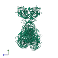 Bifunctional protein PaaZ in PDB entry 6jqm, assembly 1, side view.