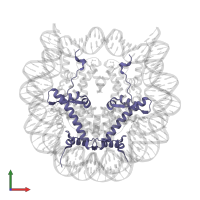 Histone H2A type 1-B/E in PDB entry 6jr0, assembly 1, front view.