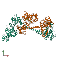 PDB entry 6jt0 coloured by chain, front view.