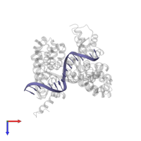 DNA (5'-D(*AP*GP*AP*GP*AP*CP*GP*CP*GP*AP*AP*GP*GP*GP*AP*CP*A)-3') in PDB entry 6jw2, assembly 1, top view.