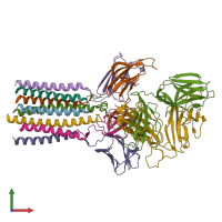 PDB条目6jxr由链条着色，前视图。