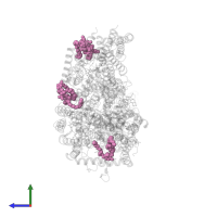 CARDIOLIPIN in PDB entry 6jy3, assembly 1, side view.