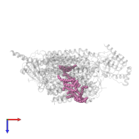 CARDIOLIPIN in PDB entry 6jy3, assembly 1, top view.