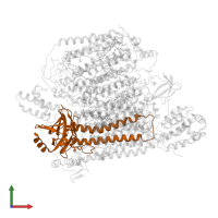 Cytochrome c oxidase subunit 2 in PDB entry 6jy3, assembly 1, front view.