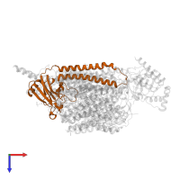 Cytochrome c oxidase subunit 2 in PDB entry 6jy3, assembly 1, top view.
