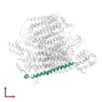 Cytochrome c oxidase subunit 6C in PDB entry 6jy3, assembly 1, front view.