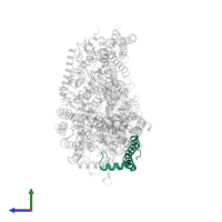 Cytochrome c oxidase subunit 6C in PDB entry 6jy3, assembly 1, side view.