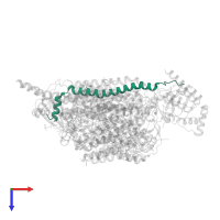 Cytochrome c oxidase subunit 6C in PDB entry 6jy3, assembly 1, top view.