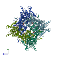 PDB entry 6jzo coloured by chain, side view.