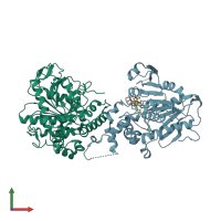 PDB entry 6k3c coloured by chain, front view.
