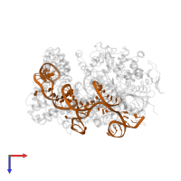 sgRNA in PDB entry 6k4u, assembly 1, top view.