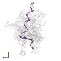 DNA (60-MER) in PDB entry 6k4y, assembly 1, side view.