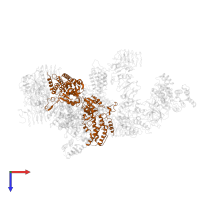 Translation initiation factor eIF2B subunit beta in PDB entry 6k71, assembly 1, top view.