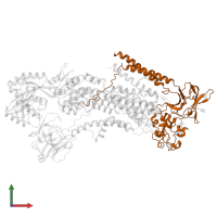 Cell cycle control protein 50A in PDB entry 6k7g, assembly 1, front view.