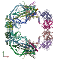 PDB entry 6k7y coloured by chain, front view.