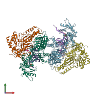 PDB entry 6kdk coloured by chain, front view.