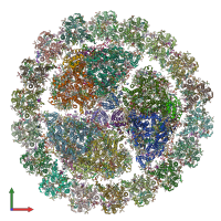 PDB entry 6kif coloured by chain, front view.