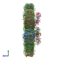 PDB entry 6kif coloured by chain, side view.