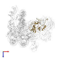 MLL cleavage product C180 in PDB entry 6kiu, assembly 1, top view.