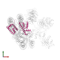 Histone H2B 1.1 in PDB entry 6kiw, assembly 1, front view.