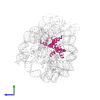 Histone H2B 1.1 in PDB entry 6kiw, assembly 1, side view.