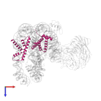 Histone H2B 1.1 in PDB entry 6kiw, assembly 1, top view.