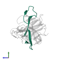Serine protease subunit NS2B in PDB entry 6kk3, assembly 1, side view.